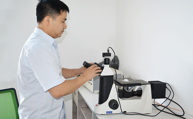 微觀結(jié)構(gòu)分析